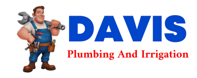 Trusted plumber in BOSTIC